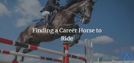 featured image thumbnail for post Finding a Career Horse to Ride